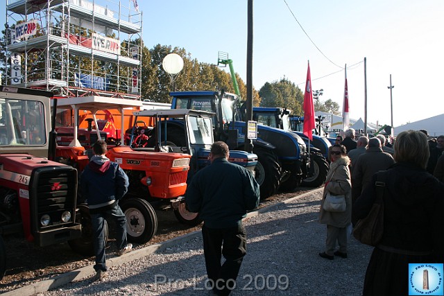 In prà della Antica Fiera di Arsego (39).JPG